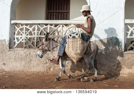 Locals Using A Donkey For Transport In Lamu, Kenya