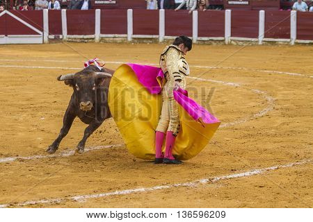Ubeda Spain - October 4 2010: The Spanish Bullfighter El Fandi bullfighting with the crutch in the Bullring of Ubeda Spain