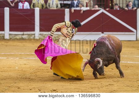 Ubeda Spain - October 4 2010: The Spanish Bullfighter El Fandi bullfighting with the crutch in the Bullring of Ubeda Spain