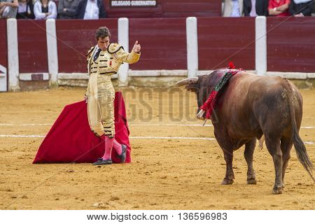 Ubeda Spain - October 4 2010: The Spanish Bullfighter El Fandi bullfighting with the crutch in the Bullring of Ubeda Spain