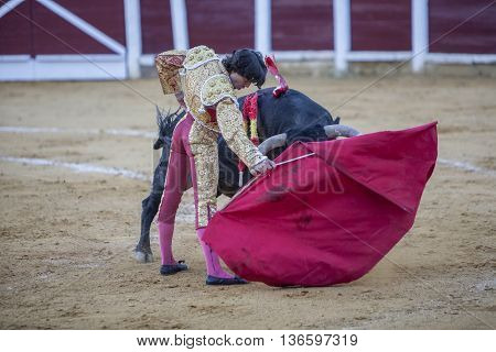 Ubeda Spain - September 29 2010: The Spanish Bullfighter Curro Diaz bullfighting with the crutch in the Bullring of Ubeda Spain