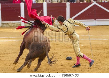 Ubeda Spain - October 4 2010: The Spanish Bullfighter El Fandi bullfighting with the crutch in the Bullring of Ubeda Spain