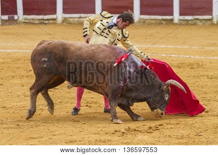 Ubeda Spain - October 4 2010: The Spanish Bullfighter El Fandi bullfighting with the crutch in the Bullring of Ubeda Spain