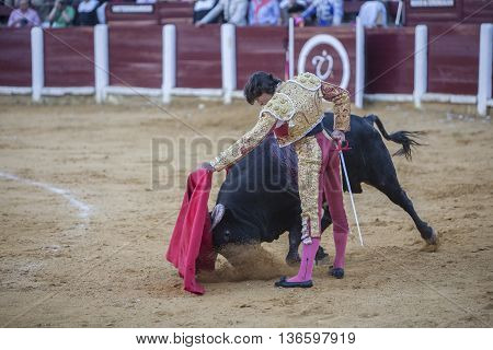 Ubeda Spain - September 29 2010: The Spanish Bullfighter Curro Diaz bullfighting with the crutch in the Bullring of Ubeda Spain