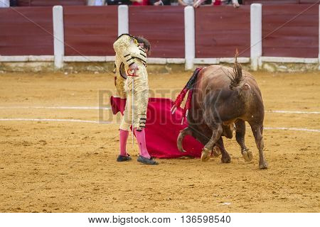 Ubeda Spain - October 4 2010: The Spanish Bullfighter El Fandi bullfighting with the crutch in the Bullring of Ubeda Spain