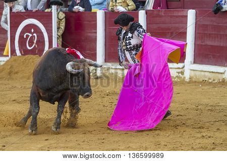 Ubeda Spain - October 4 2010: The Spanish Bullfighter El Cid bullfighting with the crutch in the Bullring of Ubeda Spain