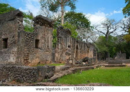 Remains Of  Gede, Near The Town  Malindi In Kenya, Africa