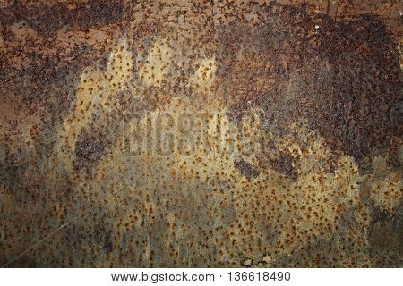 traces left by brown bear on rusty metal door ( Ursus arctos )