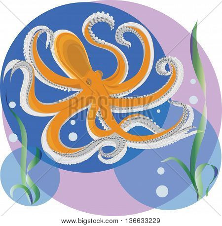 Vector image or illustration. Octopus on purple-blue background.