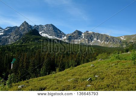 Meadow peaks and trees in Gasienicowa valley in Tatra mountains nearby Zakopane in Poland