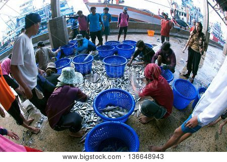 SAMUTSAKORN, THAILAND-SEPTEMBER 17, 2009: Talaythai seafood market, Trading center of fish and seafood products processing integrated in the country on September 17, 2009 in Samutsakorn, Thailand.