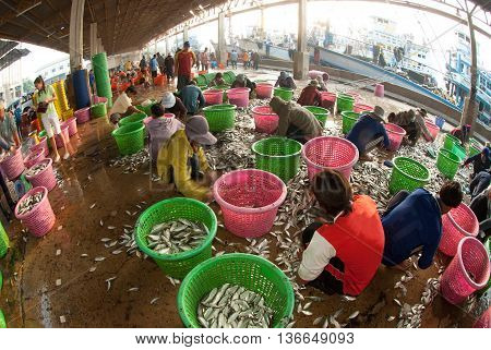 SAMUTSAKORN, THAILAND-SEPTEMBER 17, 2009: Talaythai seafood market, Trading center of fish and seafood products processing integrated in the country on September 17, 2009 in Samutsakorn, Thailand.