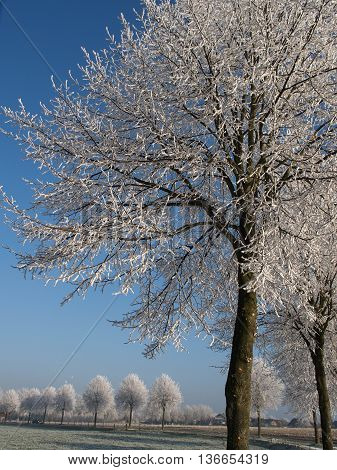 winter at the Castle of raesfeld in germany