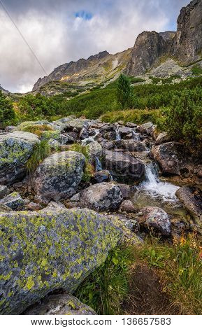 Mountain Landscape with Vegetation and Creek in Foreground on Cloudy Day. Mlynicka Valley High Tatra Slovakia.