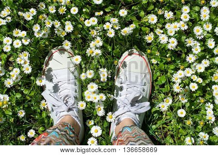 White Sneakers In A Dasiy Field. Woman Walking