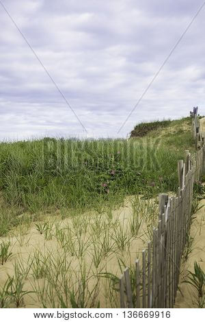 Marconi Beach area with fence, Wellfleet MA, Cape Cod