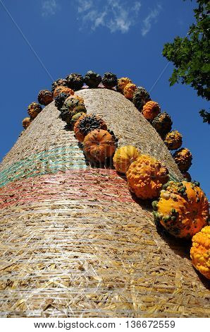 many pumpkins in Germany a thanksgivin day