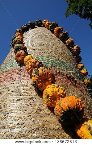 many pumpkins in Germany a thanksgivin day