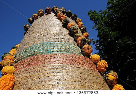 many pumpkins in Germany a thanksgivin day
