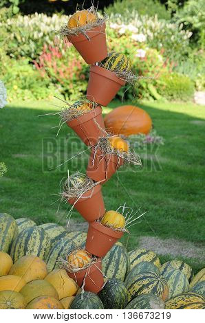 many pumpkins in Germany a thanksgivin day
