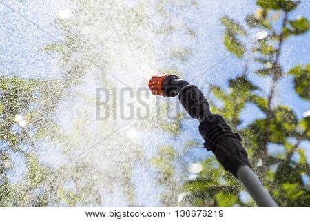 Spraying the leaves of trees against pests with chemicals