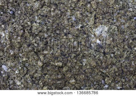 Bedrock Mixer bedrock, concrete, background, texture, mixer,
