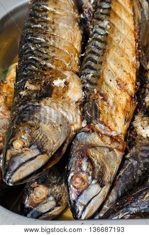 Grilled fish (scomber mackerel) as healthy food for a picnic