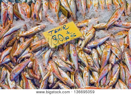 Striped red mullet for sale at a market in Istanbul, Turkey
