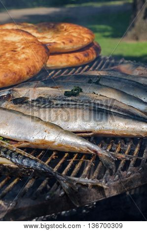Grilled fish (scomber mackerel) as healthy food for a picnic