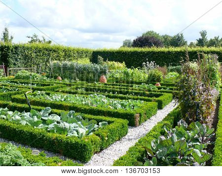 Old vegatable garden in a midieval desing