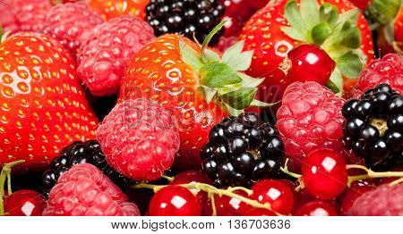 image of berrys - strawberry currant blackberry raspberry...