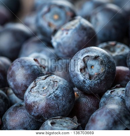 Image of Fresh Berries - Blueberries background closeup