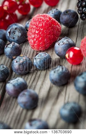 Blueberries Background