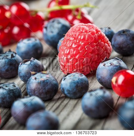 Blueberries Background