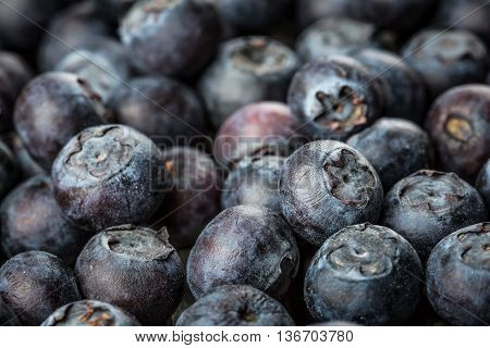 Image of Fresh Berries - Blueberries background closeup