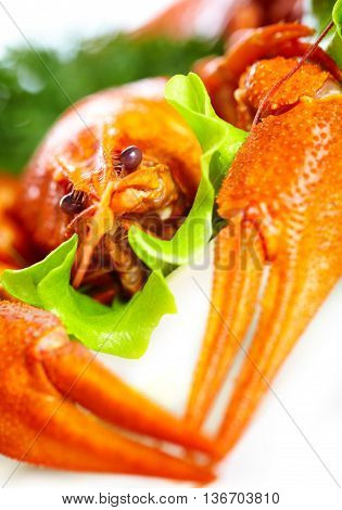 Image of boiled crawfish on a white background...