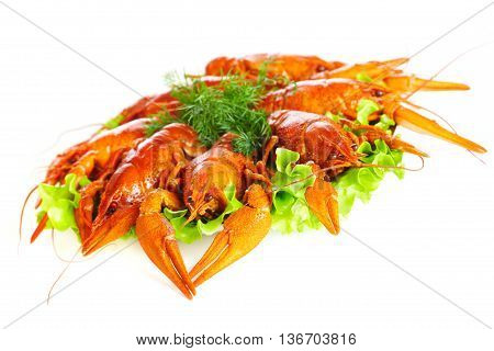 Image of boiled crawfish on a white background...