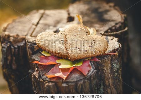 Two Heart Form Cookies are on the Wooden Stumb with Autumnal Leaves.Nature Background.Selective Focus.Toned