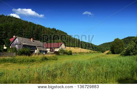 Nice day in Kokorinsko area in summer time