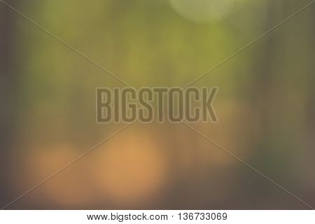 Green Natural Bokehblurred bokeh nature background. vintage tone