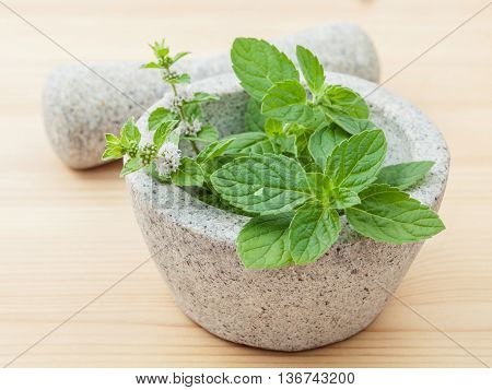 Closeup Fresh Peppermint Leaves In The White Mortar With Pestle On Bamboo Cutting Board . Shallow De