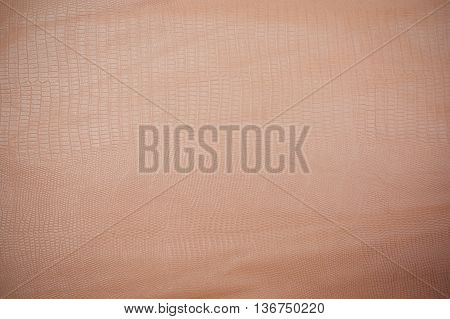 Snake skin reptile texture close up .