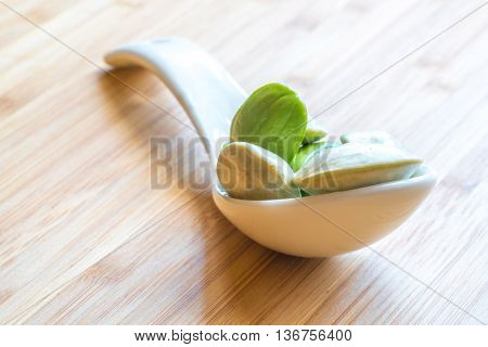 Parkia speciosa ( petai bitter bean twisted cluster bean stinker or stink bean) with white cup and spoon