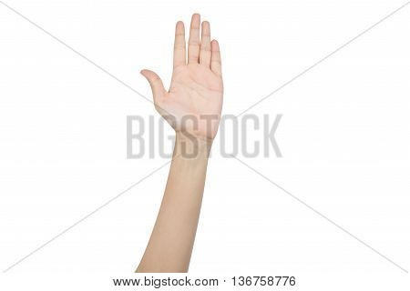 Hand raising for vote isolated on white background with clipping path