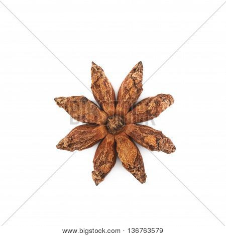 Single Chinese star anise seed isolated over the white background