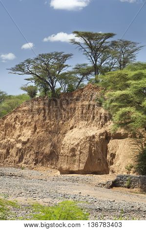 Dry River Bed In Kenya