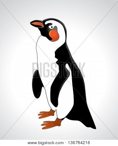 illustration of a penguin that can be used for various products