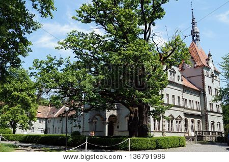 View of the castle Schonborn who stands in the park near the old trees and green fields