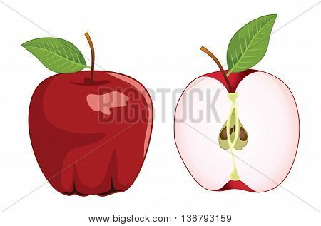 Red apple whole and half apple , vector set . Vector illustration