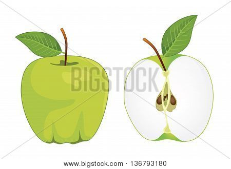 Green apple whole and half apple , vector set . Vector illustration